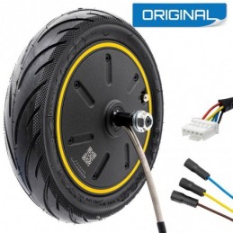 Motor 36V 350W 6,5/B50...