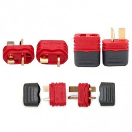 Conector T-DEAN Amass con...