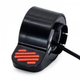 Freno eléctrico/acelerador...